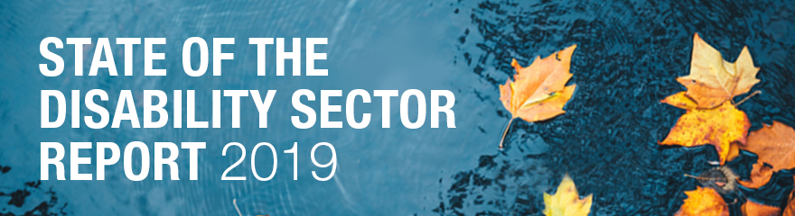 Download the State of the Disability Sector Report 2019
