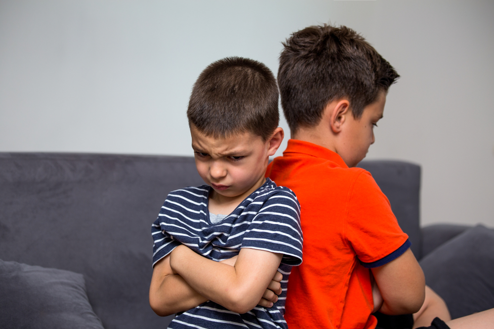 What is sibling rivalry